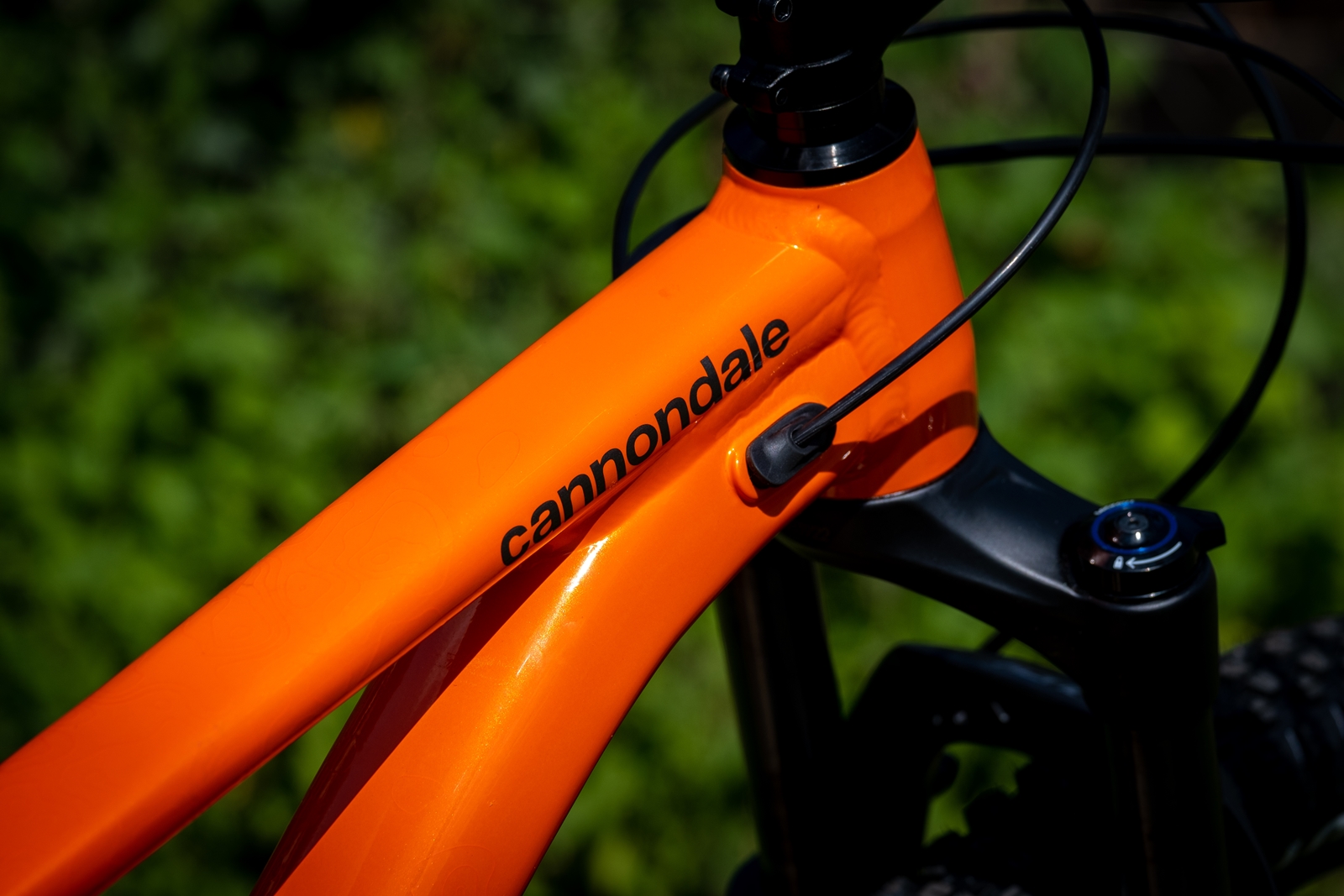 Cannondale Trail Se 3 Impact Orange Mtb Mountainbike Hardtail 29 Zoll
