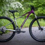 ⭐⌛ Cannondale Trail Women's SL 4 MTB Damen Mountainbike Hardtail 29 Zoll klein SM Small 39cm Purple Neu